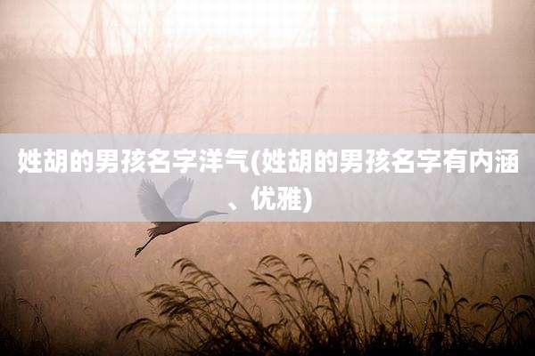 姓胡的男孩名字洋气(姓胡的男孩名字有内涵、优雅)