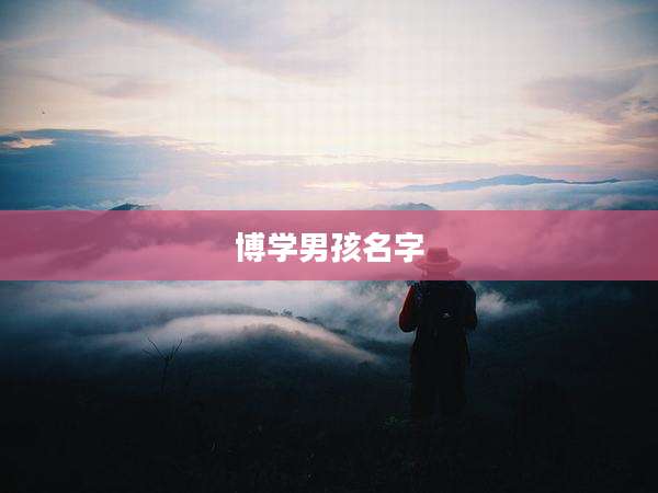 博学男孩名字