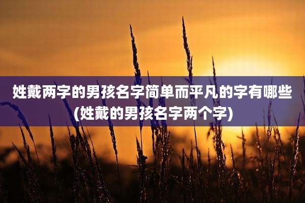 姓戴两字的男孩名字简单而平凡的字有哪些(姓戴的男孩名字两个字)