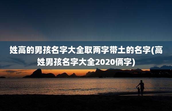 姓高的男孩名字大全取两字带土的名字(高姓男孩名字大全2020俩字)