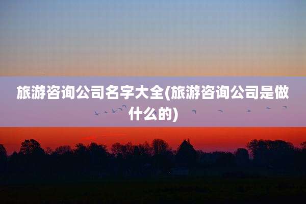 旅游咨询公司名字大全(旅游咨询公司是做什么的)