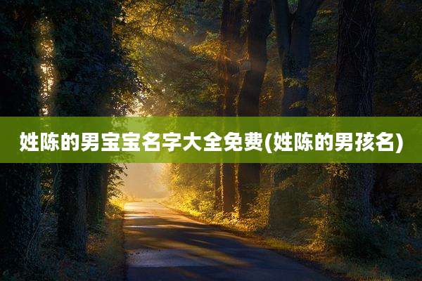 姓陈的男宝宝名字大全免费(姓陈的男孩名)