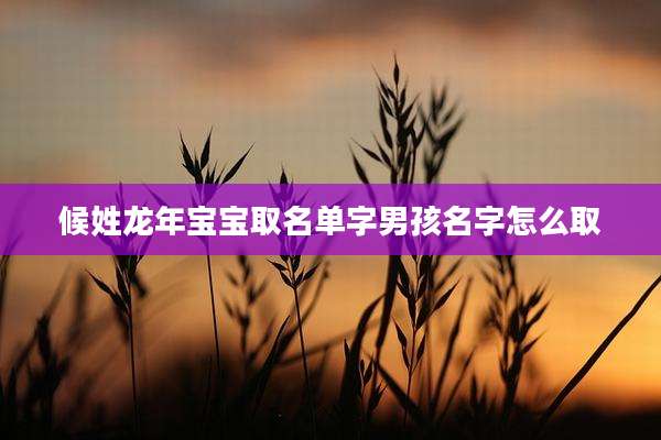 候姓龙年宝宝取名单字男孩名字怎么取