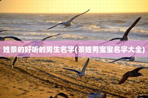 姓景的好听的男生名字(景姓男宝宝名字大全)