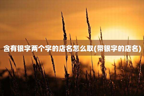 含有银字两个字的店名怎么取(带银字的店名)