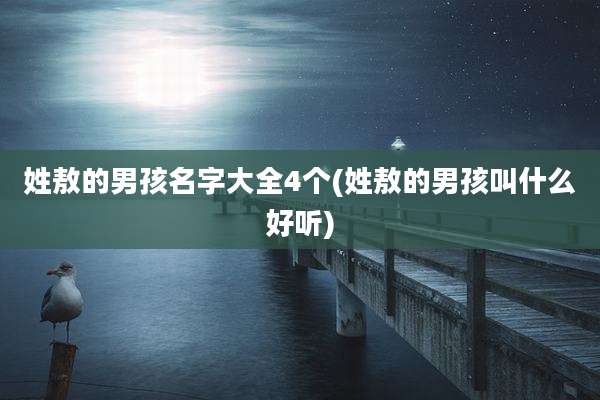 姓敖的男孩名字大全4个(姓敖的男孩叫什么好听)