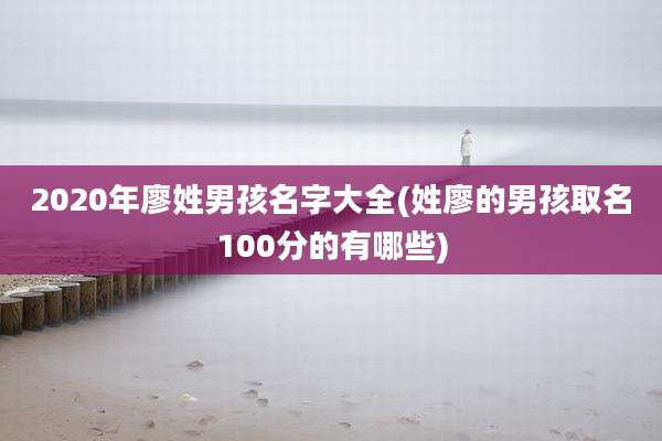 2020年廖姓男孩名字大全(姓廖的男孩取名100分的有哪些)