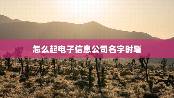 怎么起电子信息公司名字时髦