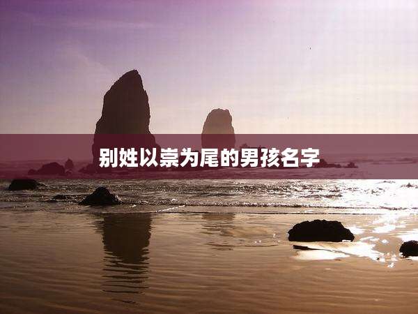 别姓以崇为尾的男孩名字