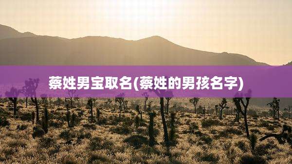 蔡姓男宝取名(蔡姓的男孩名字)