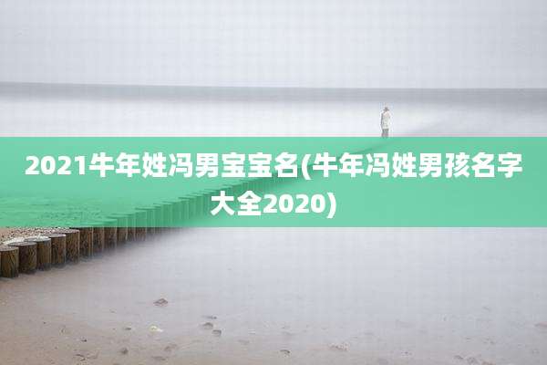 2021牛年姓冯男宝宝名(牛年冯姓男孩名字大全2020)
