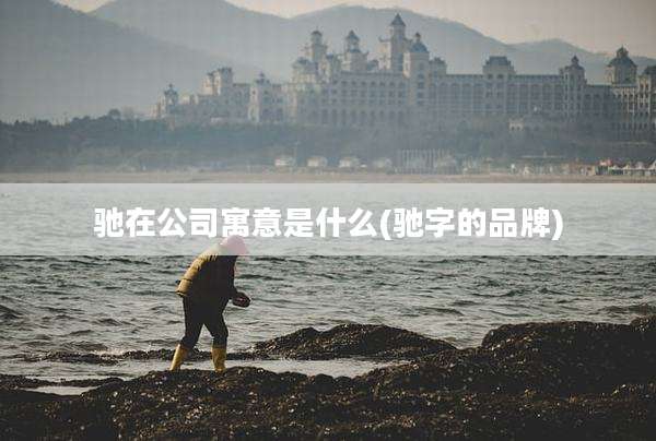 驰在公司寓意是什么(驰字的品牌)