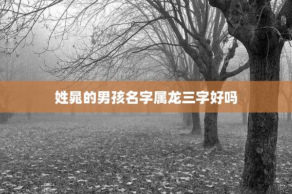 姓晁的男孩名字属龙三字好吗