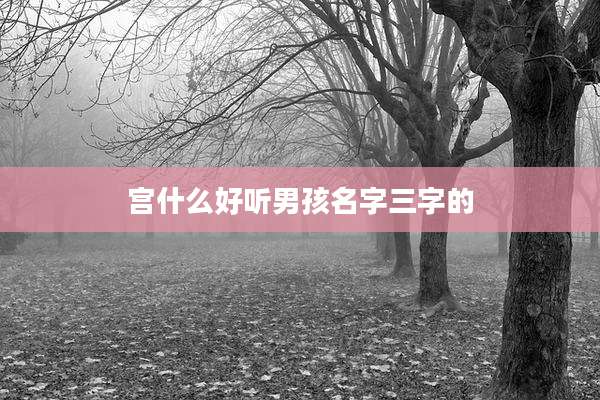 宫什么好听男孩名字三字的