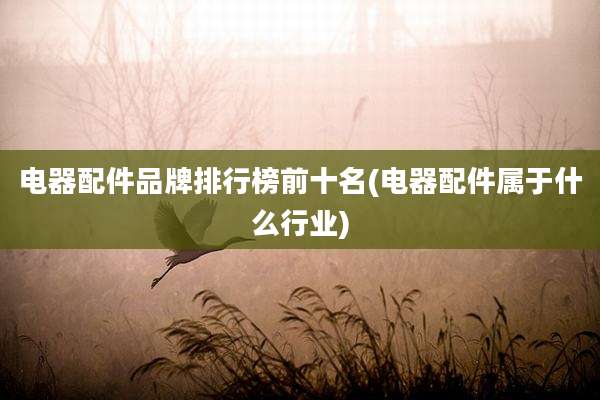 电器配件品牌排行榜前十名(电器配件属于什么行业)