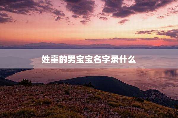 姓辜的男宝宝名字录什么