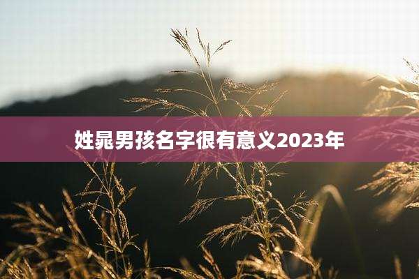 姓晁男孩名字很有意义2023年