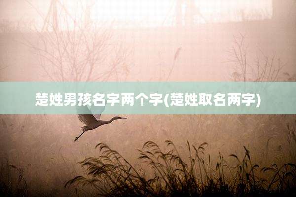 楚姓男孩名字两个字(楚姓取名两字)