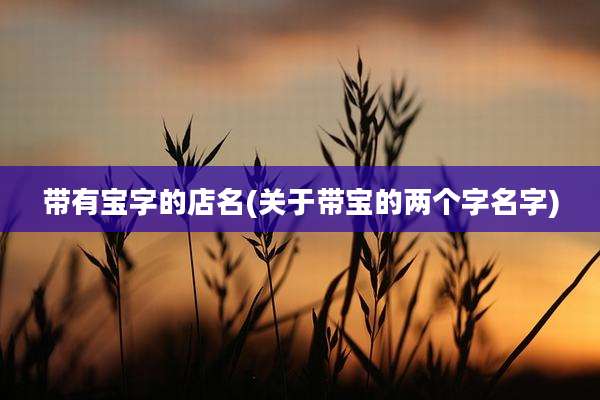 带有宝字的店名(关于带宝的两个字名字)
