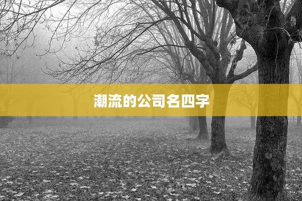 潮流的公司名四字