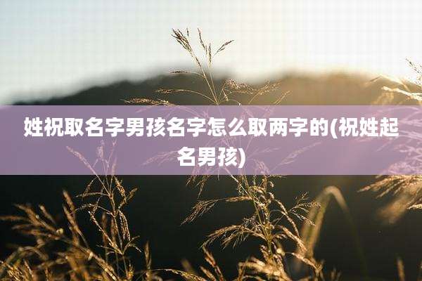 姓祝取名字男孩名字怎么取两字的(祝姓起名男孩)