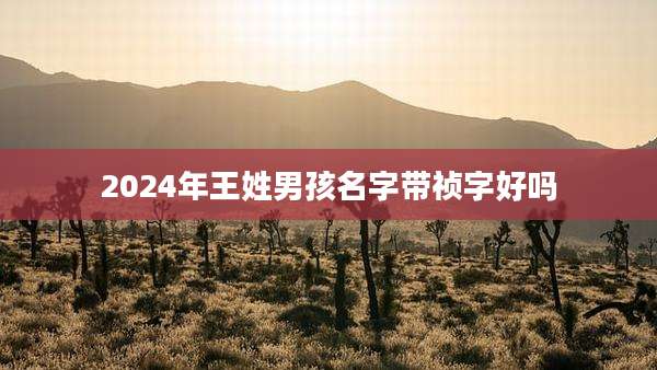 2024年王姓男孩名字带祯字好吗