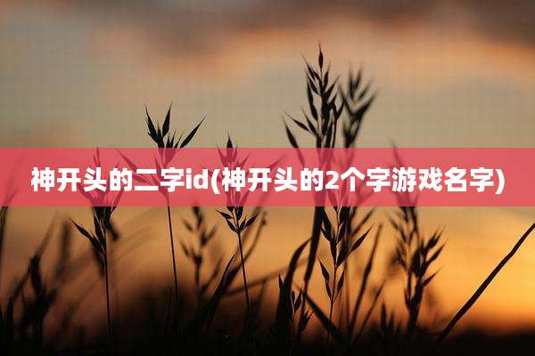 神开头的二字id(神开头的2个字游戏名字)