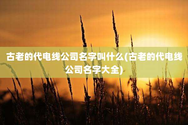 古老的代电线公司名字叫什么(古老的代电线公司名字大全)