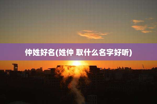 仲姓好名(姓仲 取什么名字好听)