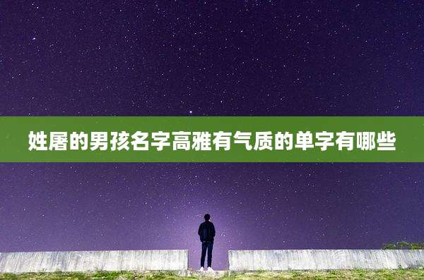 姓屠的男孩名字高雅有气质的单字有哪些