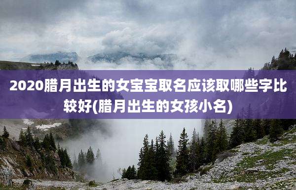 2020腊月出生的女宝宝取名应该取哪些字比较好(腊月出生的女孩小名)