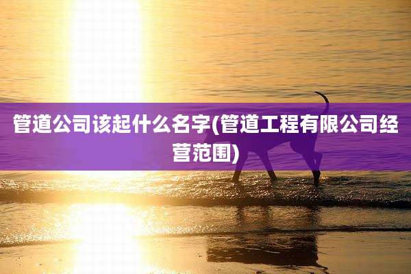 管道公司该起什么名字(管道工程有限公司经营范围)