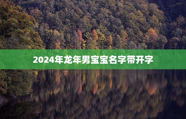 2024年龙年男宝宝名字带开字