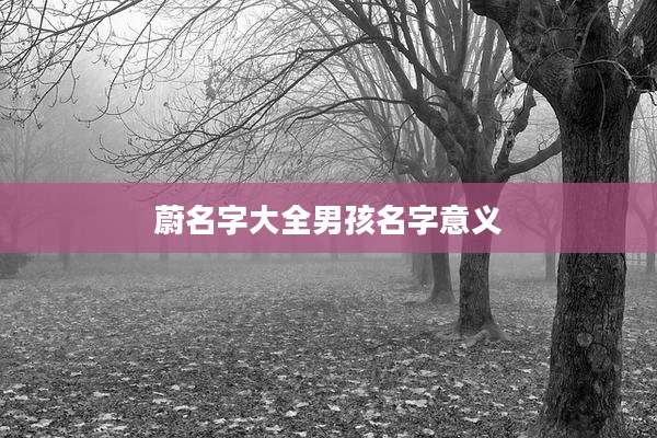 蔚名字大全男孩名字意义