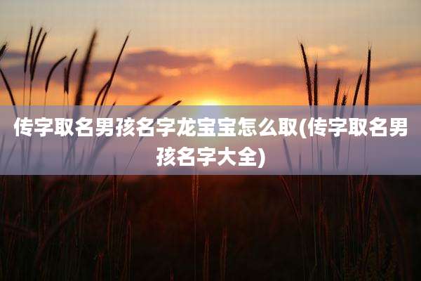 传字取名男孩名字龙宝宝怎么取(传字取名男孩名字大全)