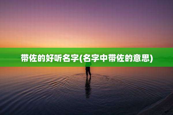 带佐的好听名字(名字中带佐的意思)