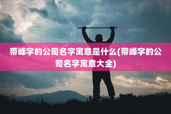 带峰字的公司名字寓意是什么(带峰字的公司名字寓意大全)