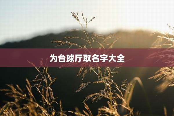 为台球厅取名字大全