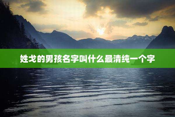 姓戈的男孩名字叫什么最清纯一个字