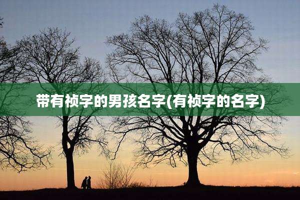 带有祯字的男孩名字(有祯字的名字)