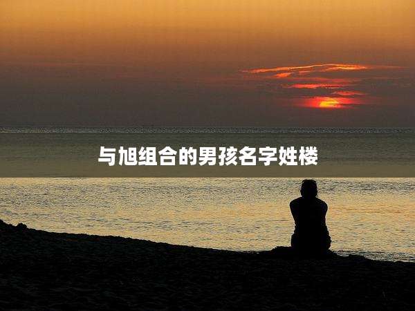 与旭组合的男孩名字姓楼