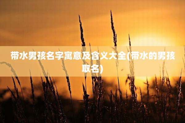 带水男孩名字寓意及含义大全(带水的男孩取名)