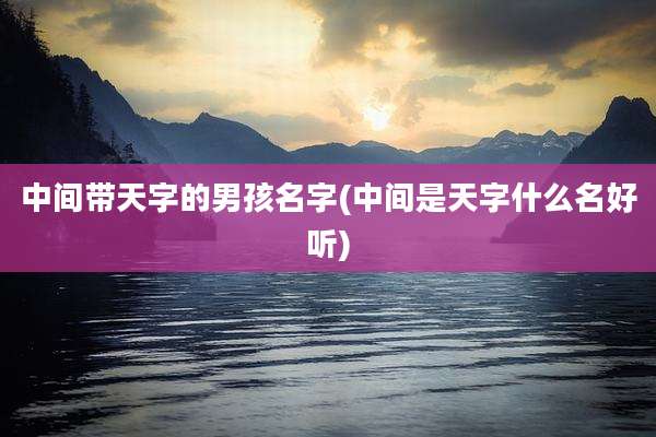 中间带天字的男孩名字(中间是天字什么名好听)