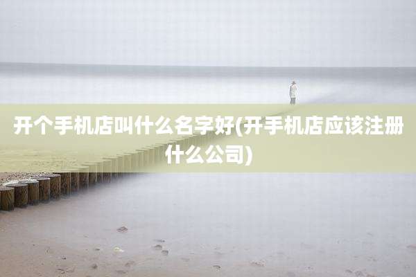 开个手机店叫什么名字好(开手机店应该注册什么公司)