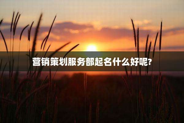 营销策划服务部起名什么好呢?