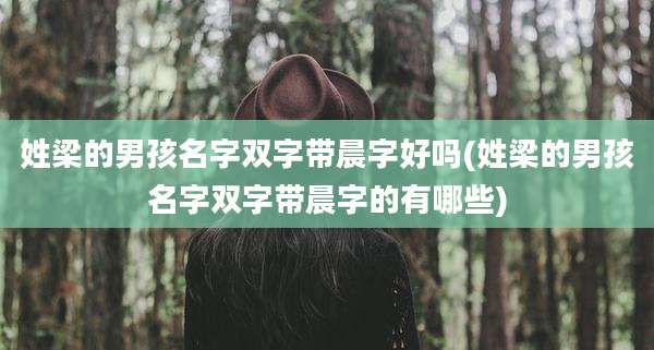 姓梁的男孩名字双字带晨字好吗(姓梁的男孩名字双字带晨字的有哪些)