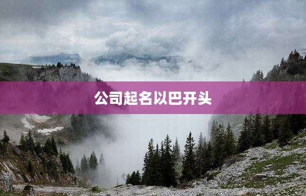 公司起名以巴开头