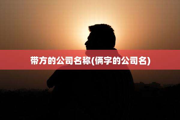 带方的公司名称(俩字的公司名)