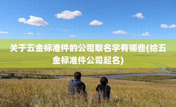 关于五金标准件的公司取名字有哪些(给五金标准件公司起名)