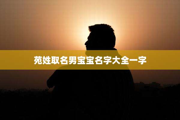 苑姓取名男宝宝名字大全一字